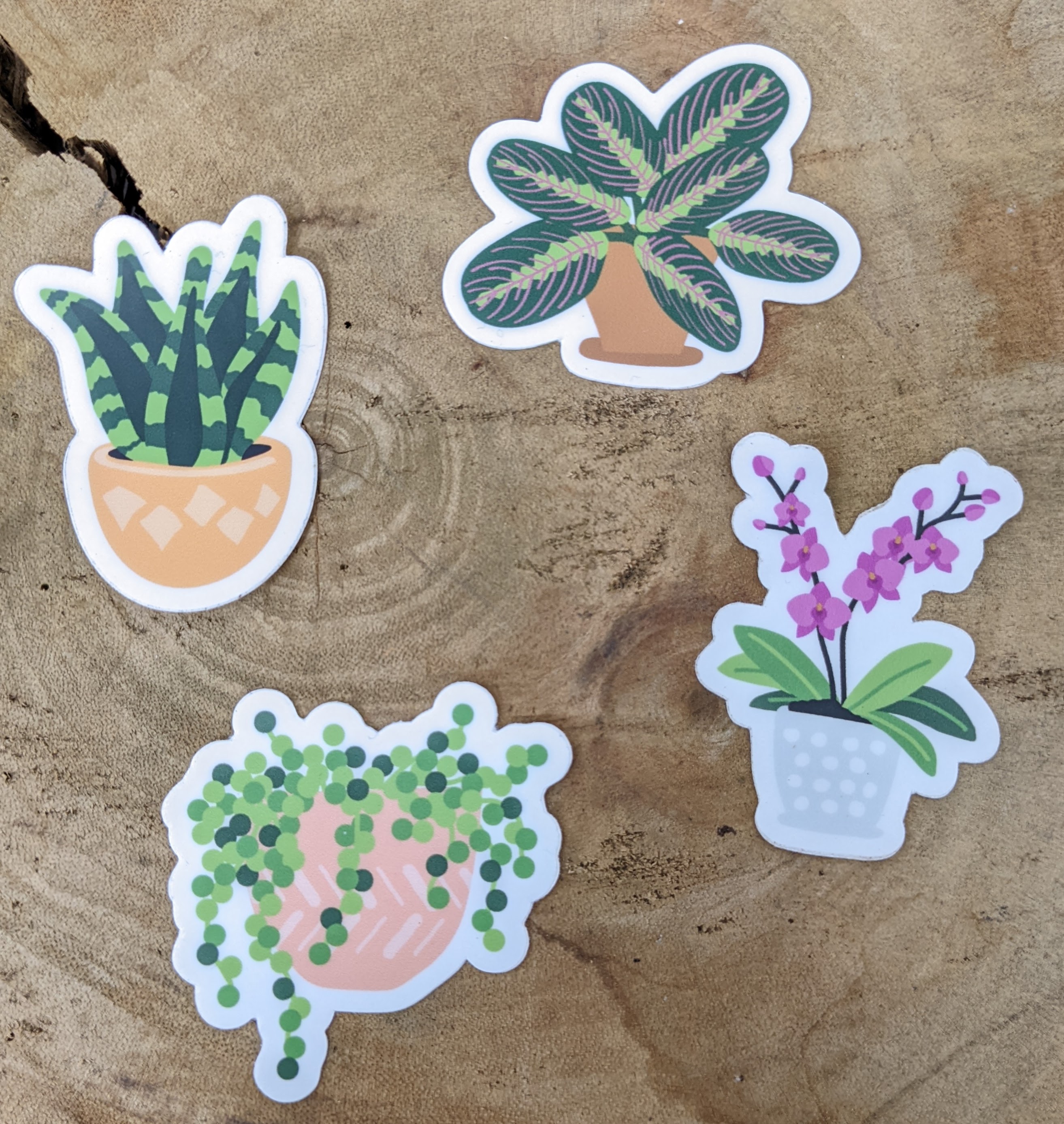 Plant Sticker Pack